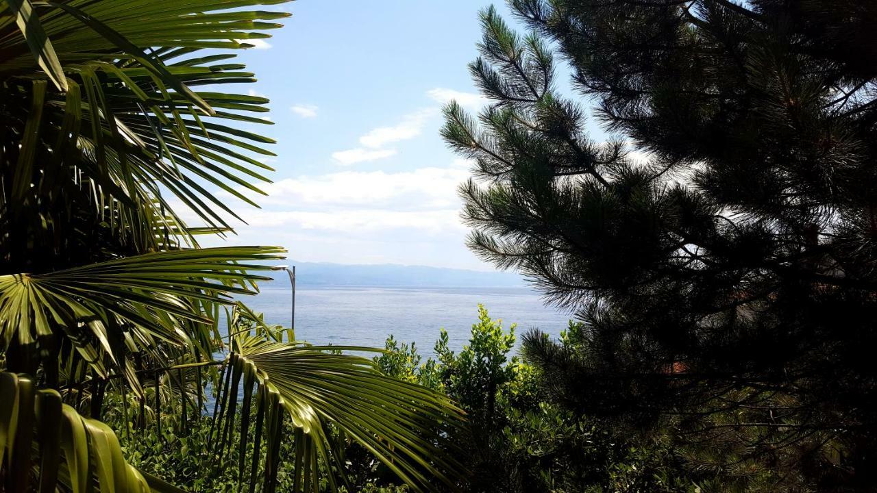 Josephine's Garden *